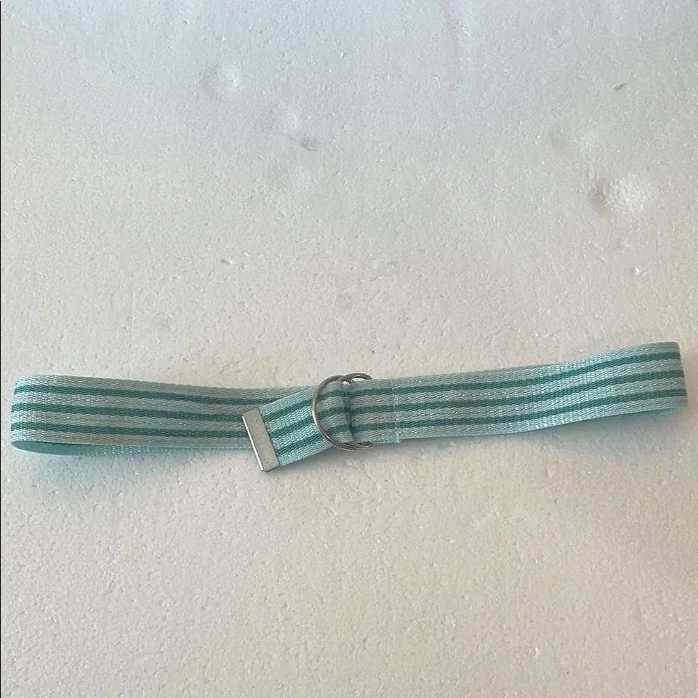 Y2K American Eagle Striped green metallic adjustable Belt Silver D ring Buckle